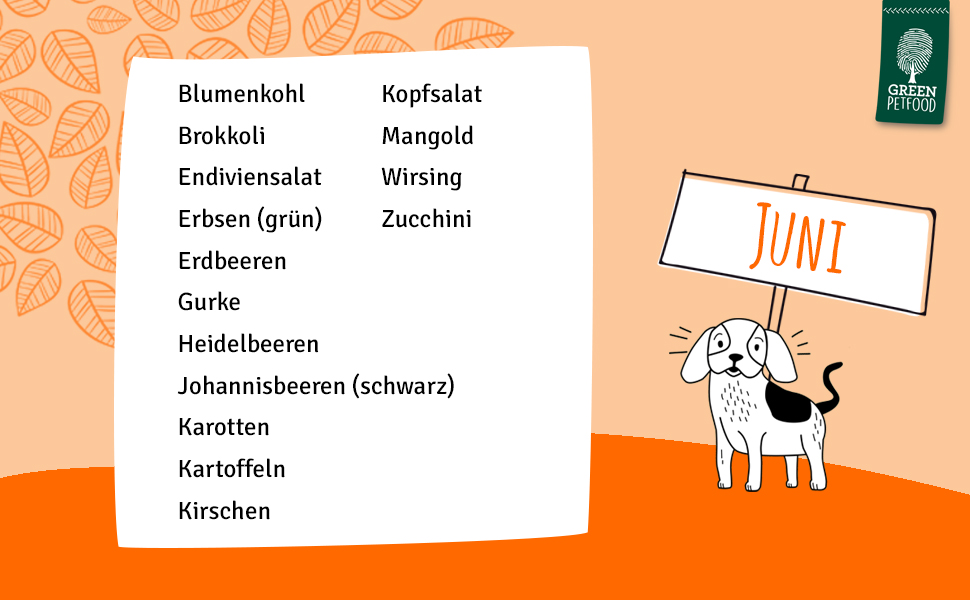 Saisonales, regionales Obst und Gemüse für Hunde und Katzen